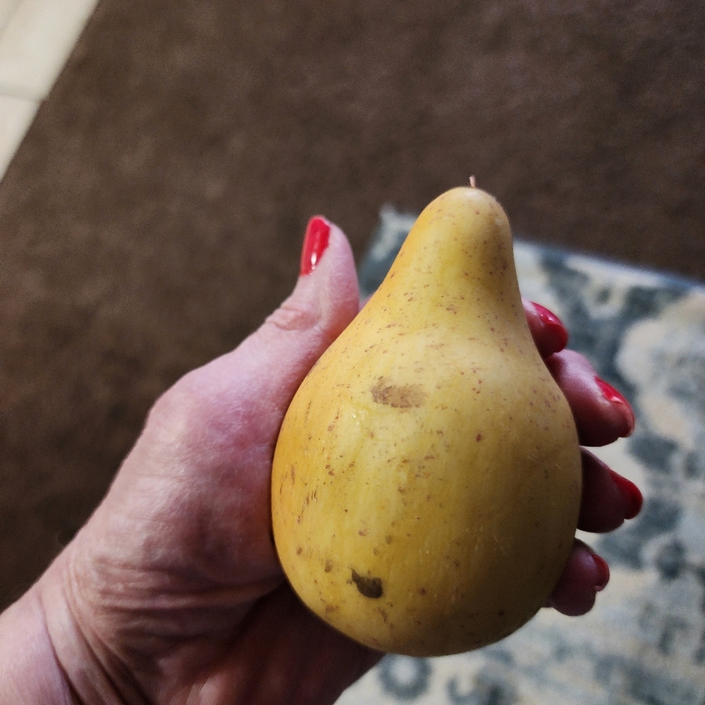 Is this real Pear??